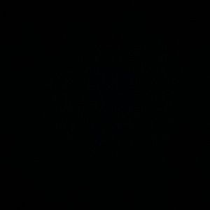 Meet your Posher, Miranda